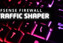 PFsense Firewall Traffic Shaper (Bant Genişliği Kısıtlaması)