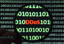DDoS Saldırı Türleri